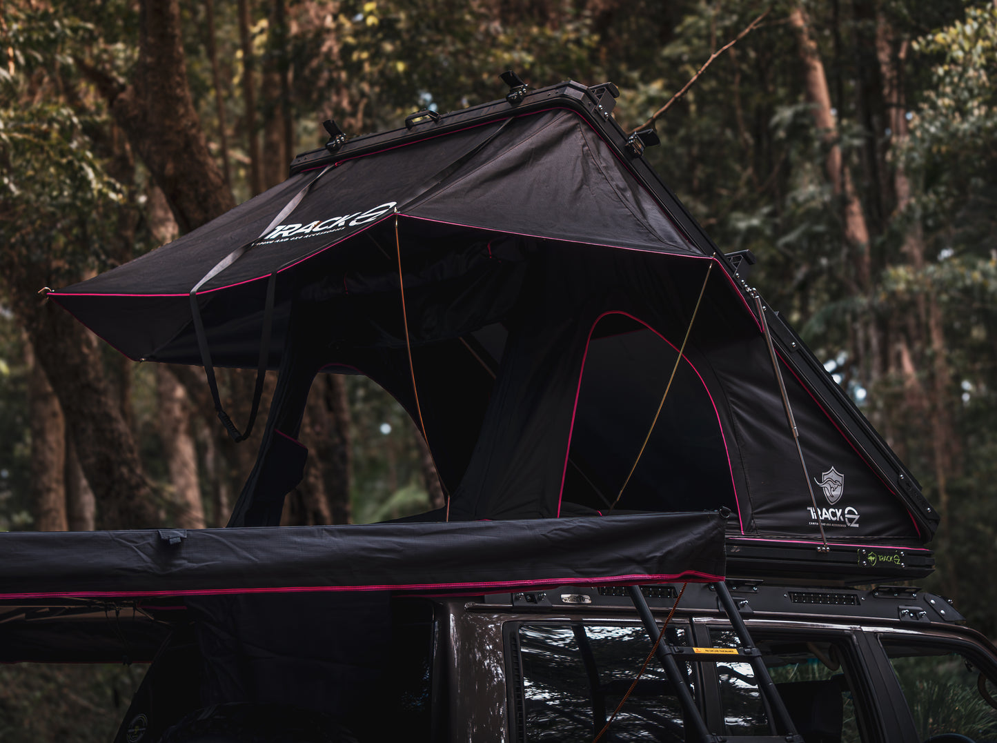 T04 Pink Rooftop 1400W