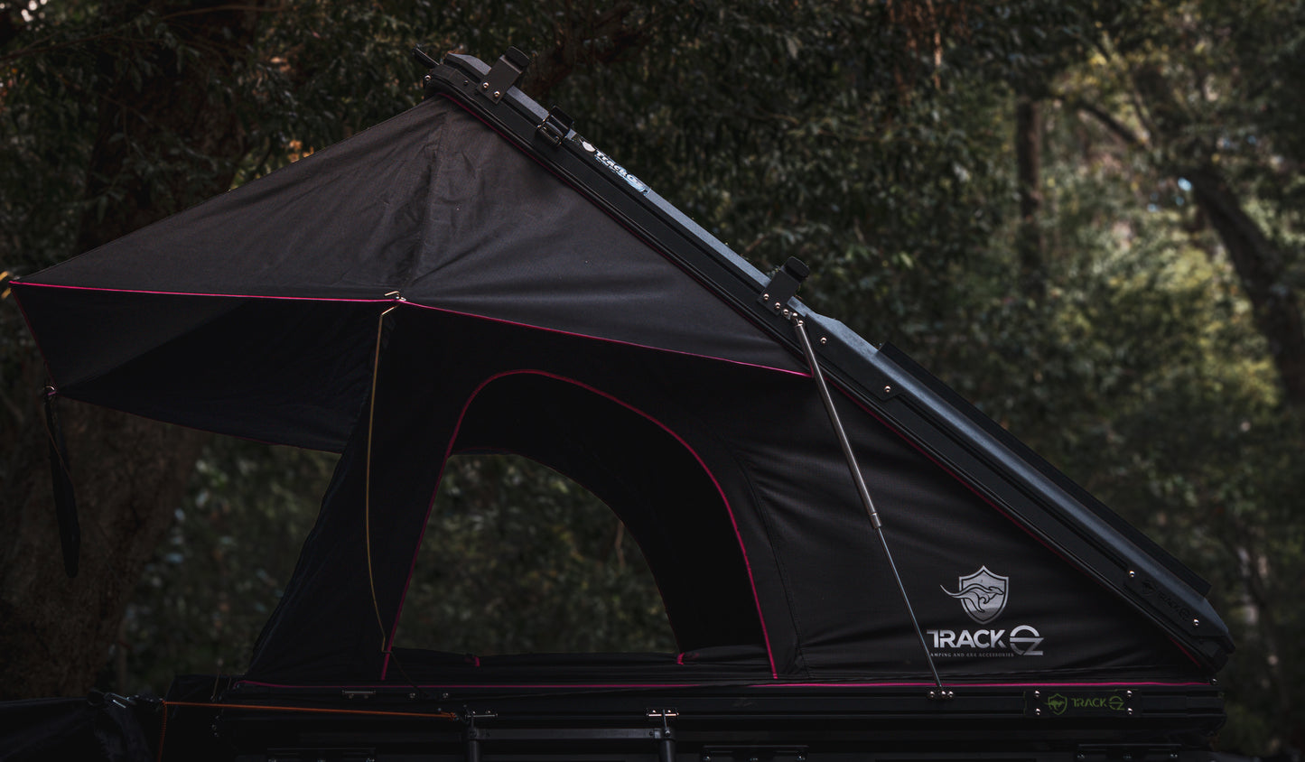 T04 Pink Rooftop 1400W