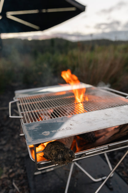 Portable Fire Pit/BBQ